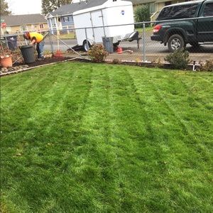 Tony’s yard services.(lane county)